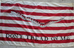 Continental Navy Jack flag