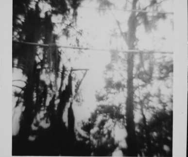 Summer Camp at Sebring 1968 wood 7 numeral